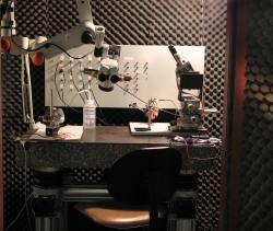 Anechoic Chamber 1